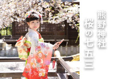 熊野神社 桜の七五三！前撮りがおすすめの時期をご案内いたします。2022年、春の七五三撮影予約を開始いたしました！