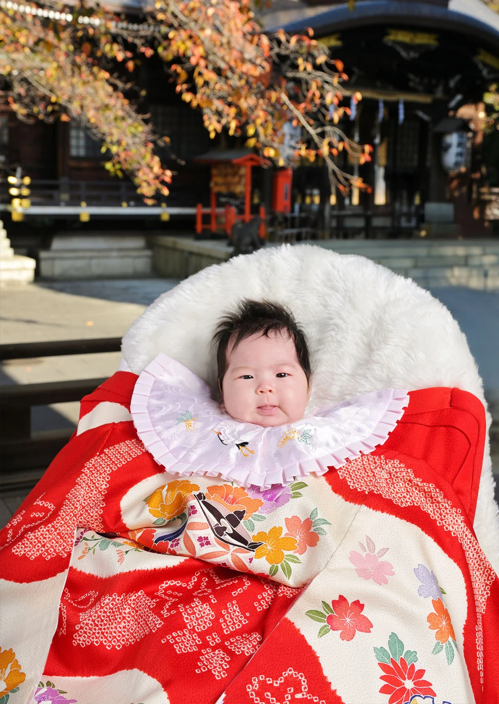 熊野神社撮影ギャラリー写真4