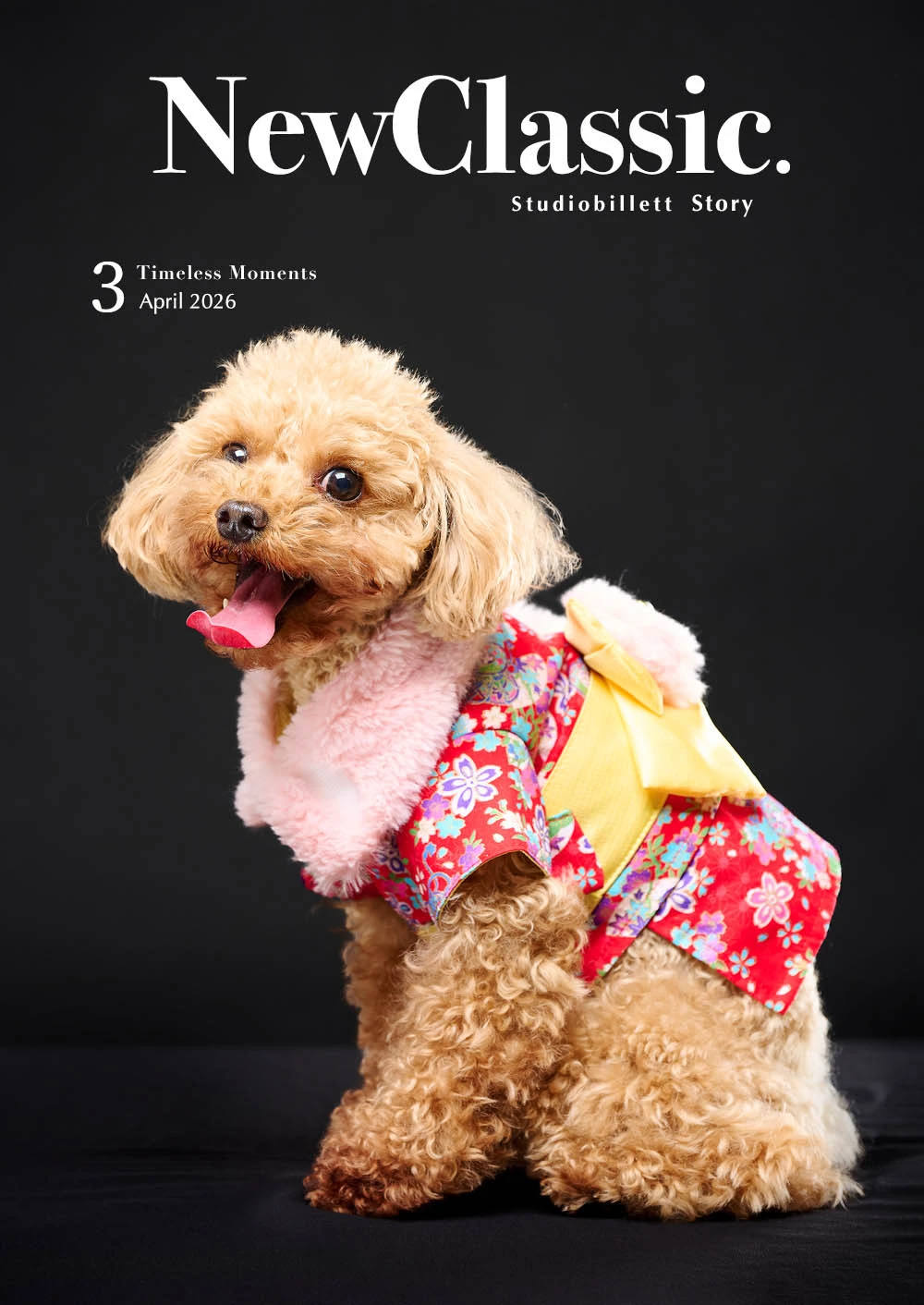 スタジオ撮影の様子4