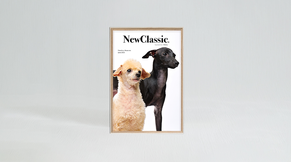 スタンダードプラン