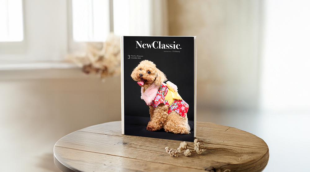 ストーリープラン